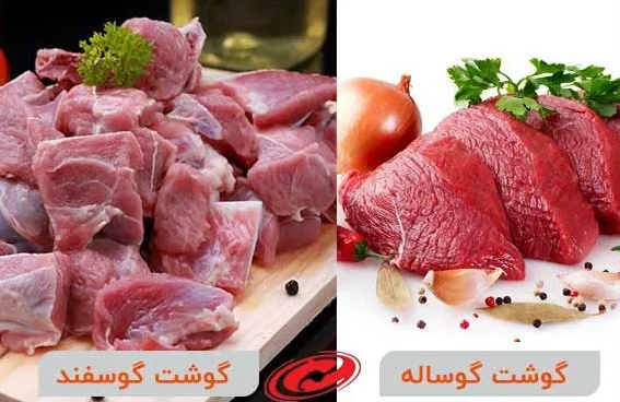 مقایسه گوشت گوساله و گوسفند