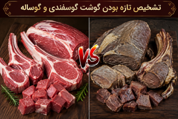 تشخیص گوشت تازه